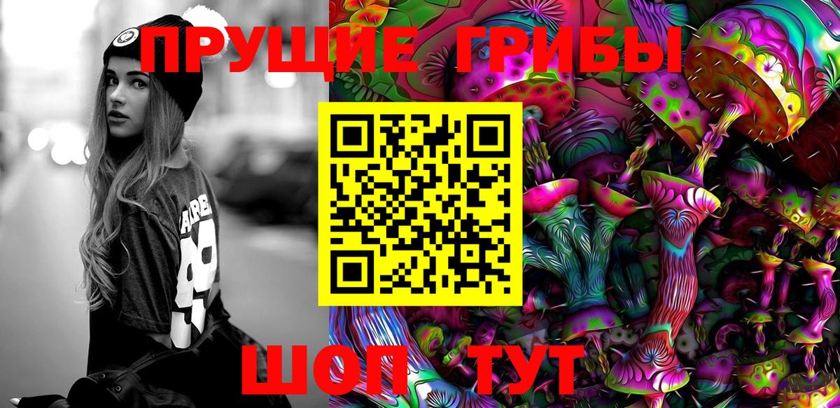 Алексеевка  Галлюциногенные грибы Psilocybine cubensis  Вход с VPN 
